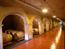 museo del vino